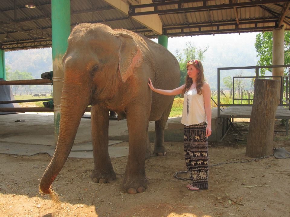 Chiang Mai Elephant Nature Park