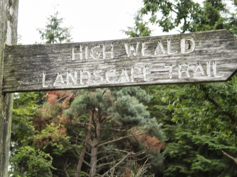 the high weald landscape trail