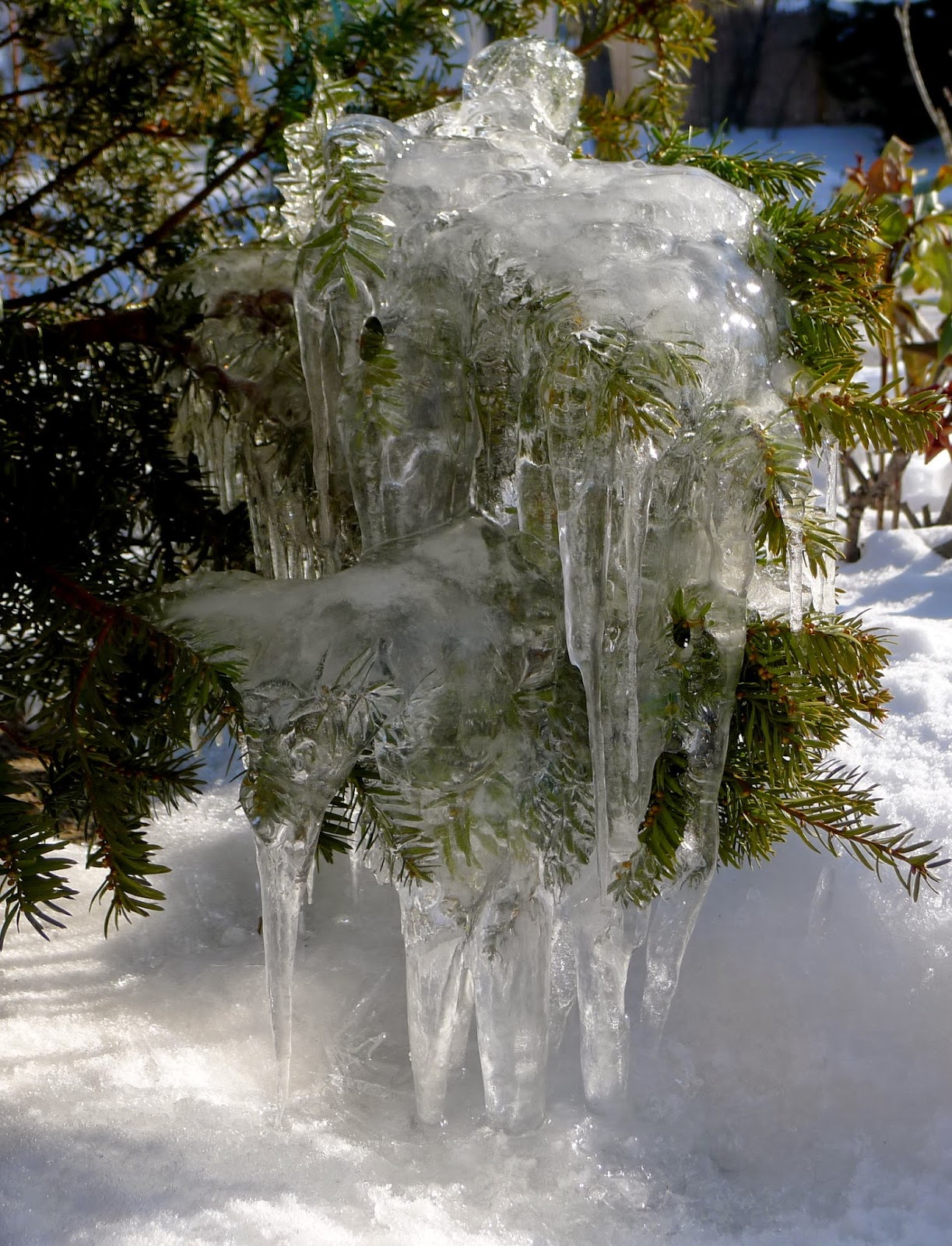 Less Noise, More Green Will perennials survive a snowstorm?