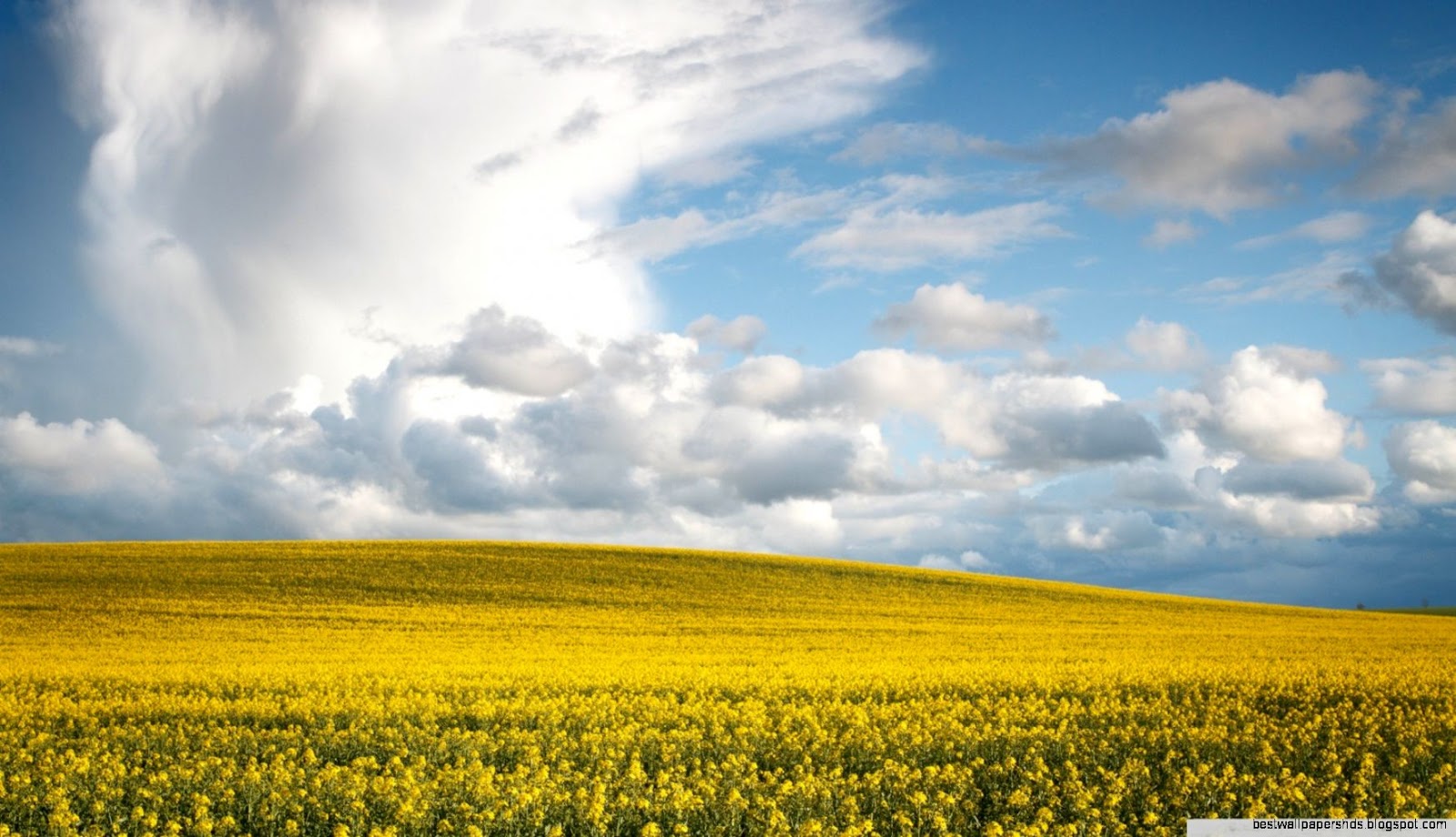 Spring Landscape Download HD Wallpapers Spring Landscape Download HD Wallpapers