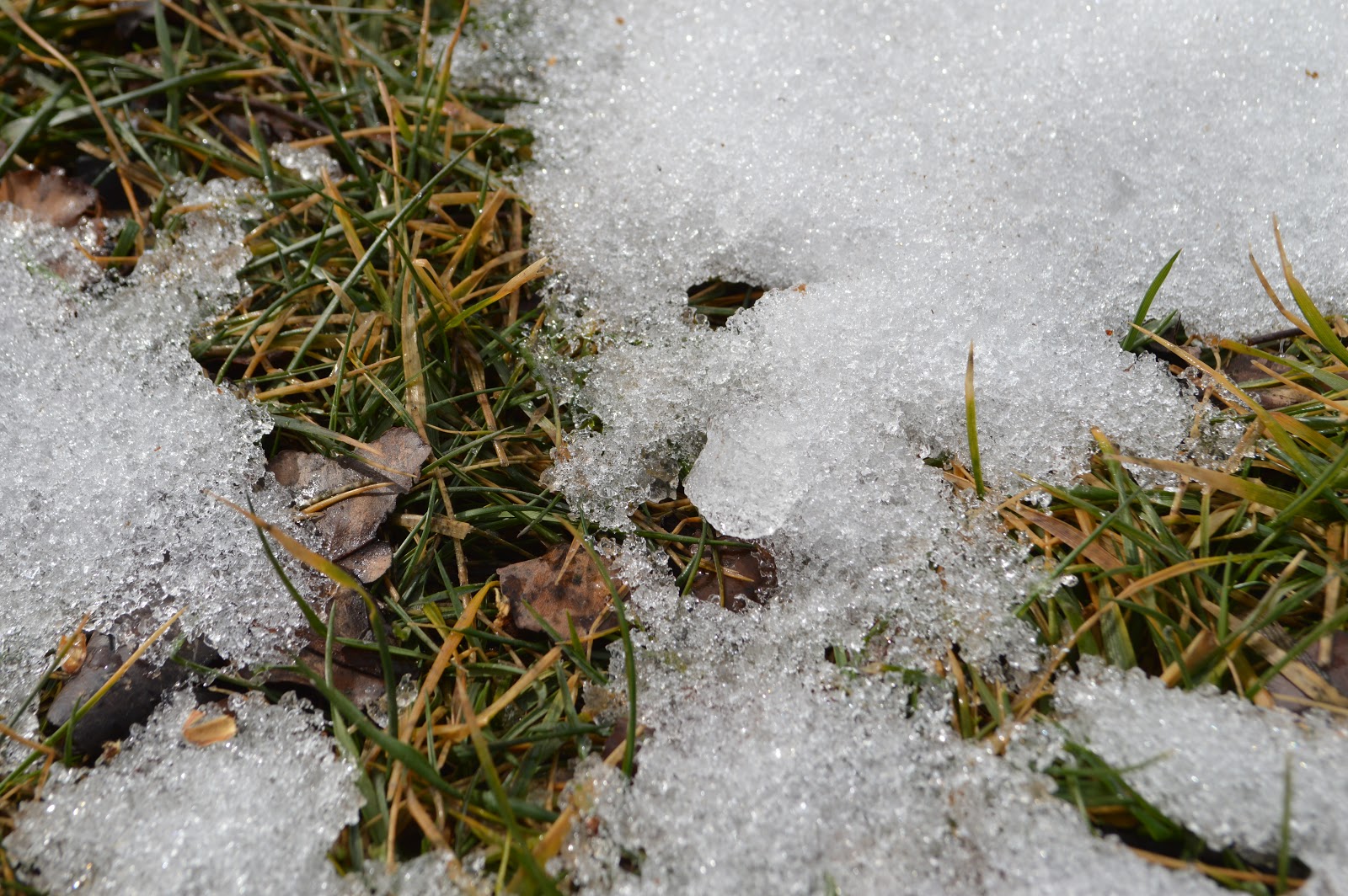 MSE Creative Consulting Blog As the Snow Melts