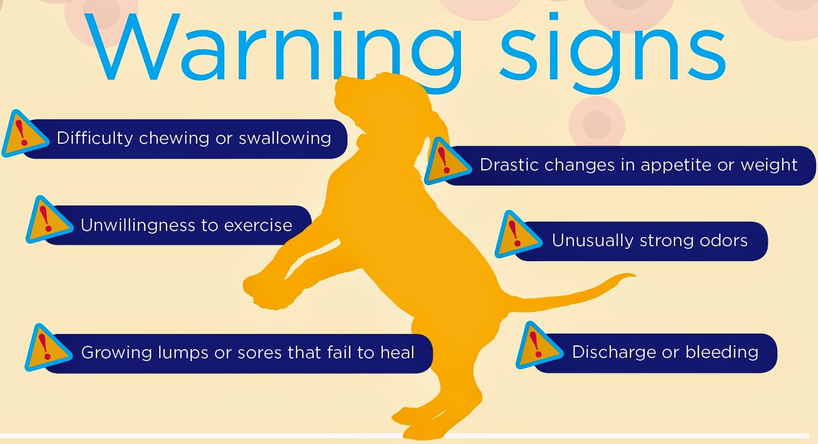 lymphosarcoma in dogs