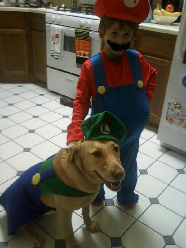 50 Funny pet costumes (50 pics) Amazing Creatures