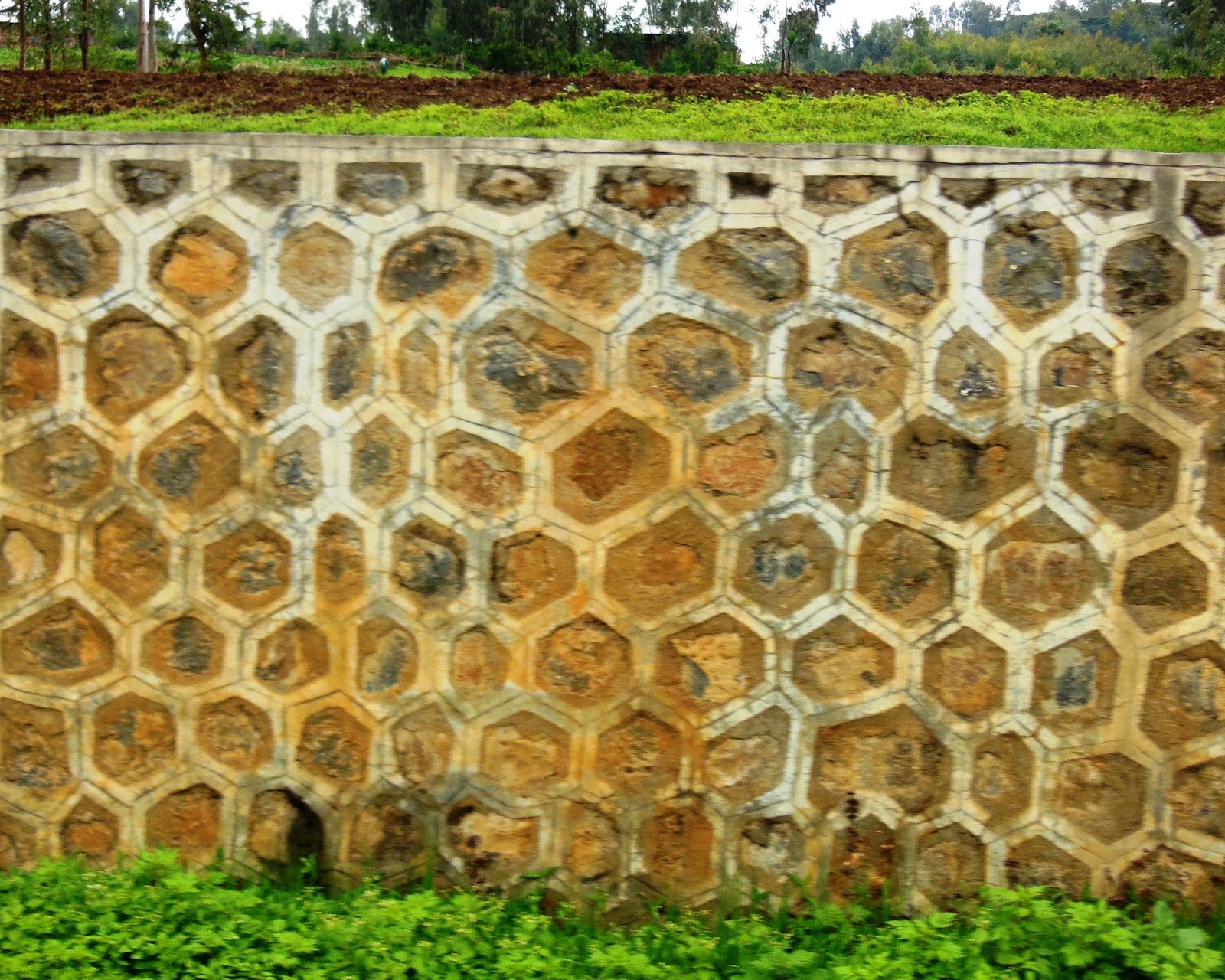 The Peace Bee Farmer Walls