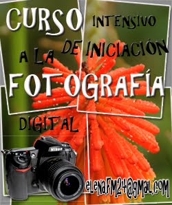 Taller de fotografía, pincha aquí