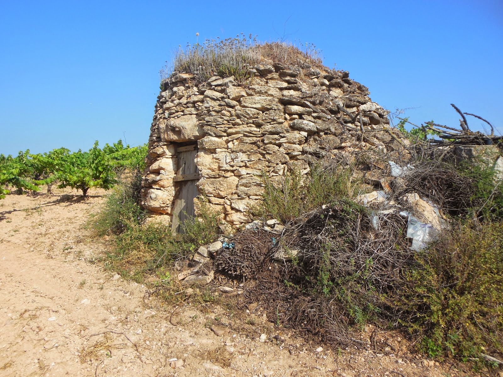 LA SERRA DE SANT SADURNI D'ANOIA