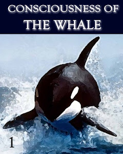 Consciousness of the Whale - Part 1