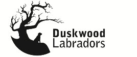 Duskwood Labradors