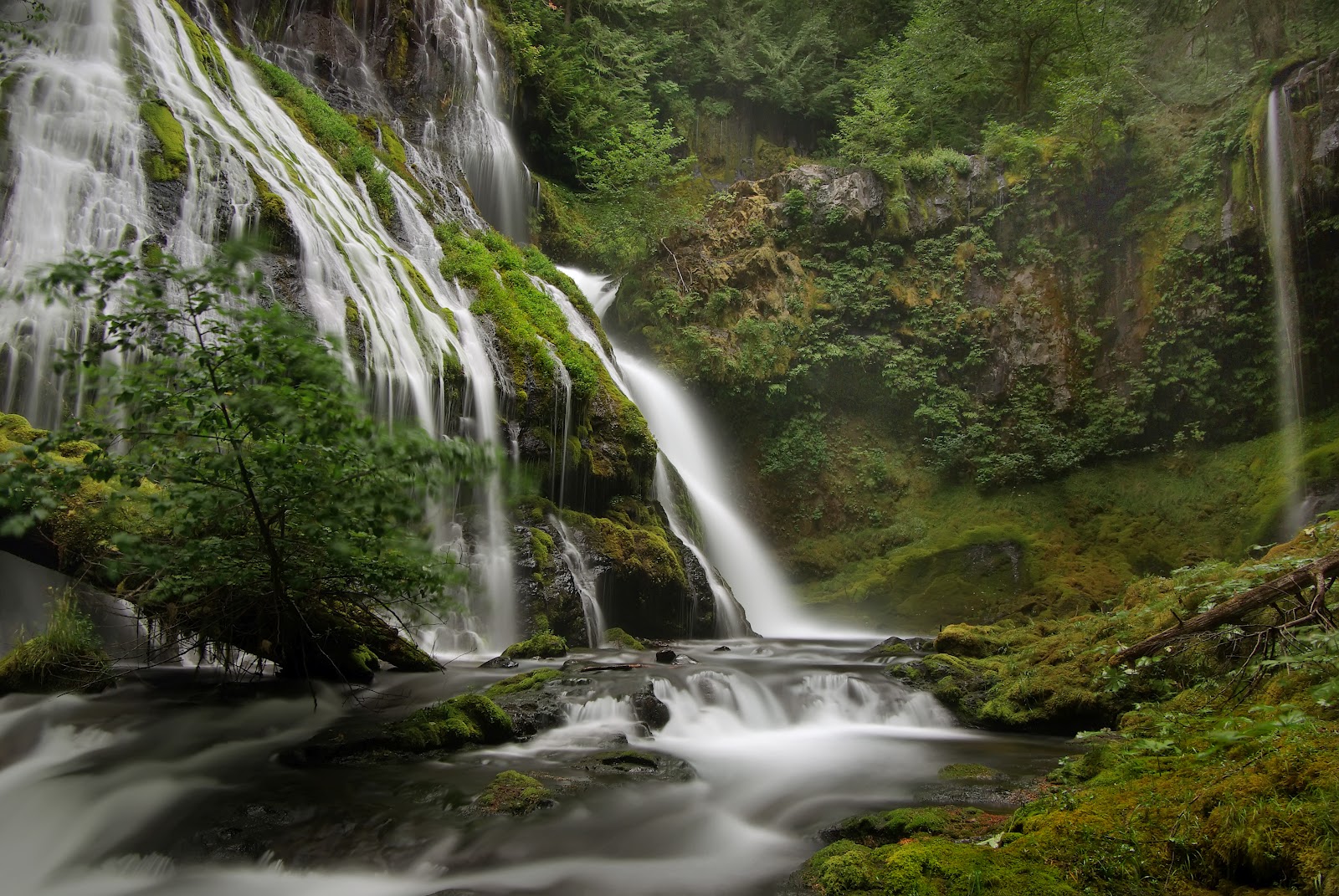 pather creek pather creek