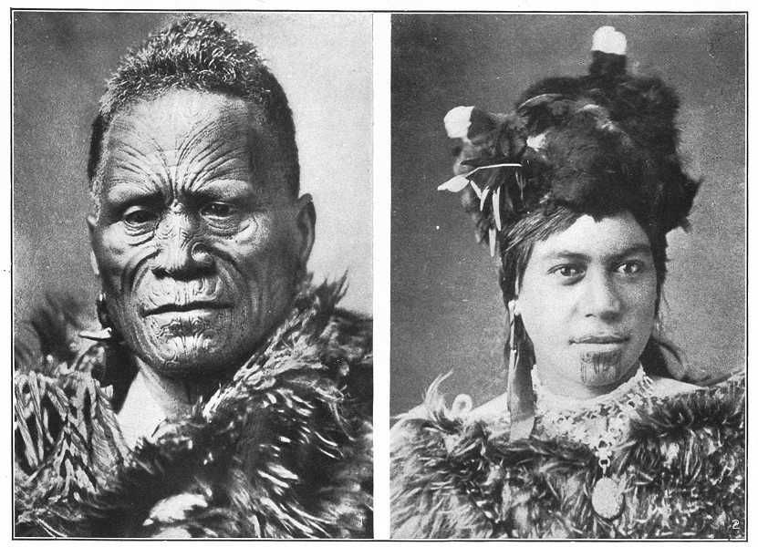 the maori cultural death system analysis the maori cultural death system analysis