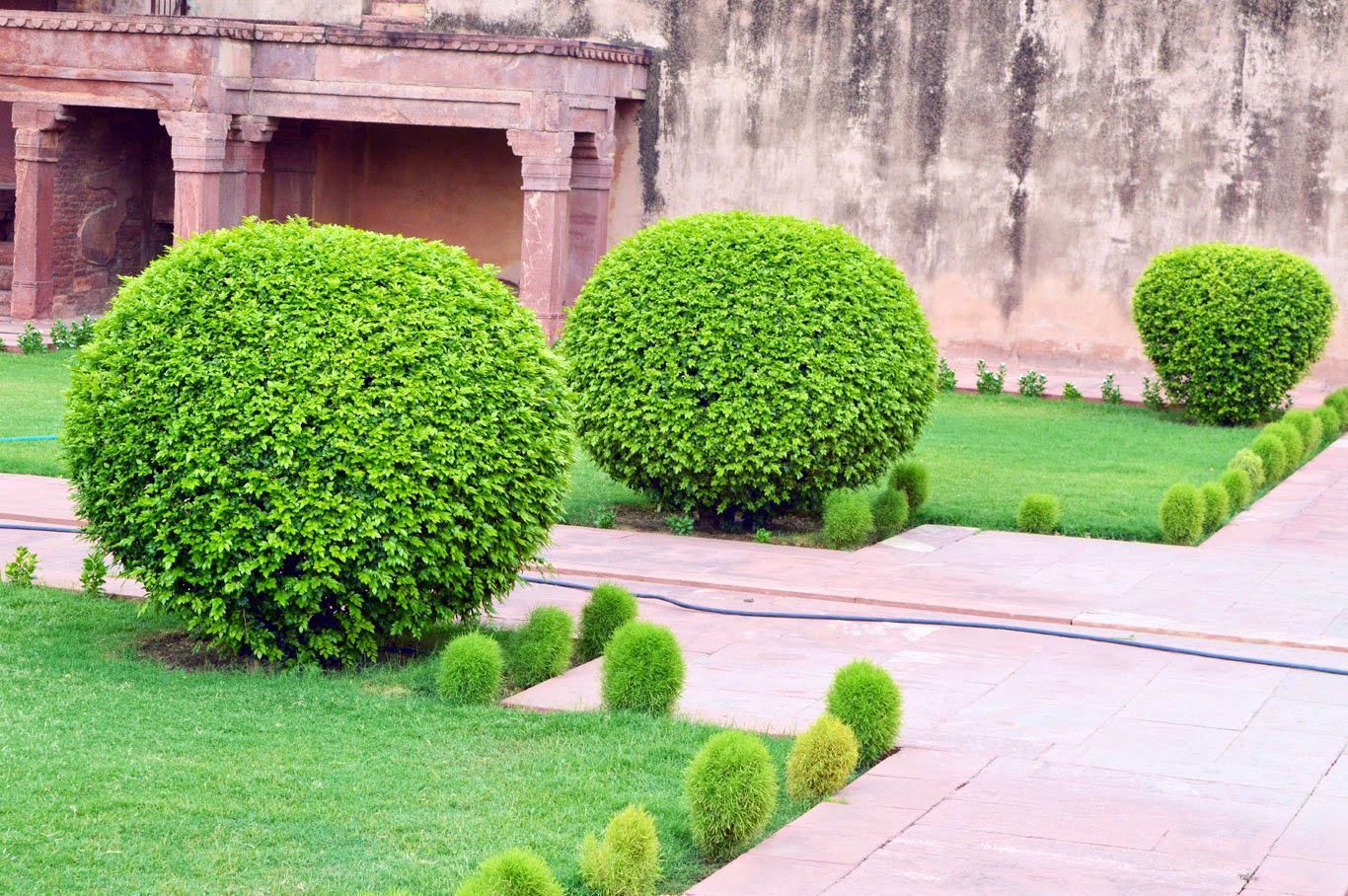 Sanjay Photo World: Garden backgrounds for Photoshop