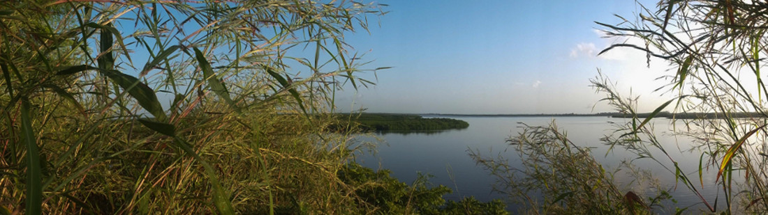 Chez Omar et fatou, Camping et chambre d’hôte à Sippo, Siné Saloum