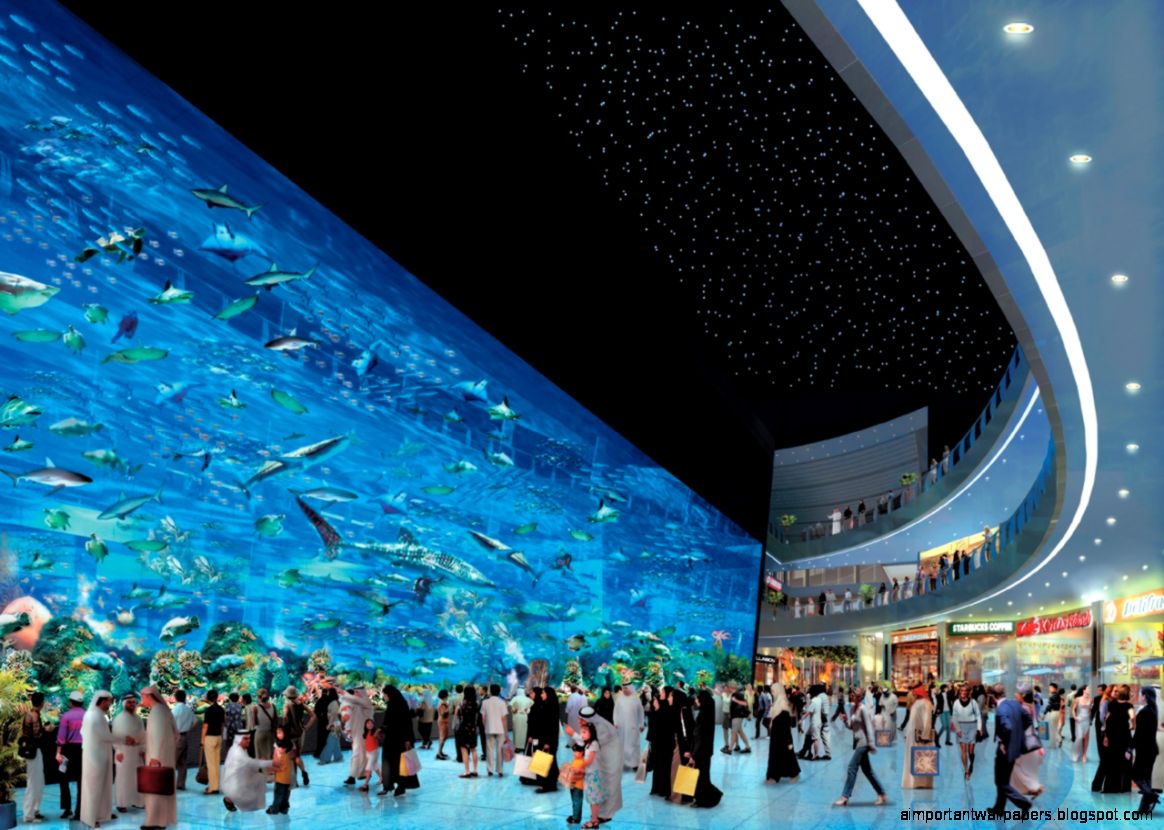 Download Dubai Mall Aquarium Wallpaper Full HD Wallpapers Download Dubai Mall Aquarium Wallpaper Full HD Wallpapers