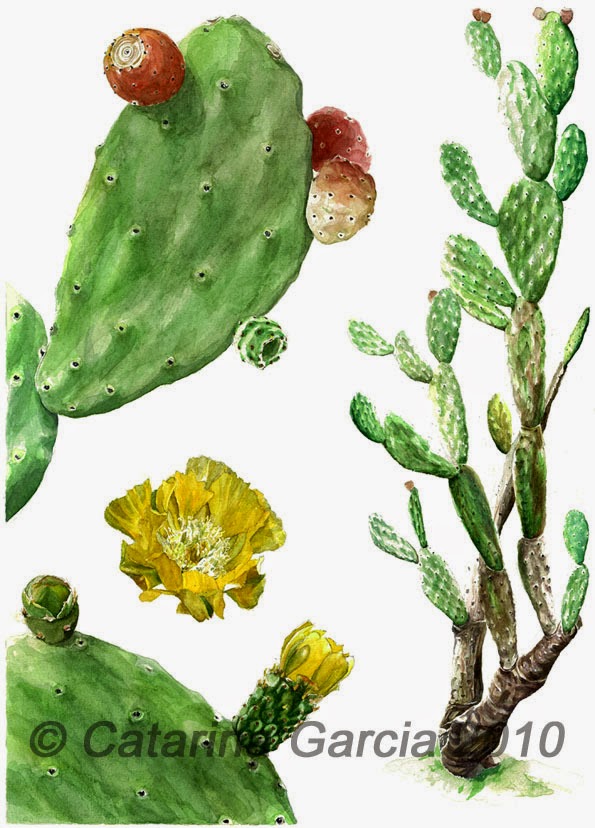 imagens de desenhos no chão - Modelos de Pisos para Áreas Externas 39 Fotos