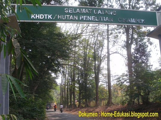 Hutan Cikampek