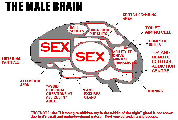 Beza Otak Lelaki Dan Perempuan Smart Mind Home Centre Petaling Jaya Facebook