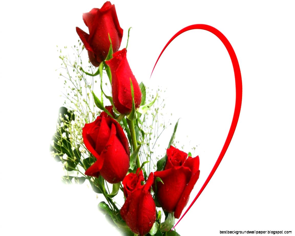Love Flower Wallpapers Wallpaper Cave Love Flower Wallpapers Wallpaper Cave