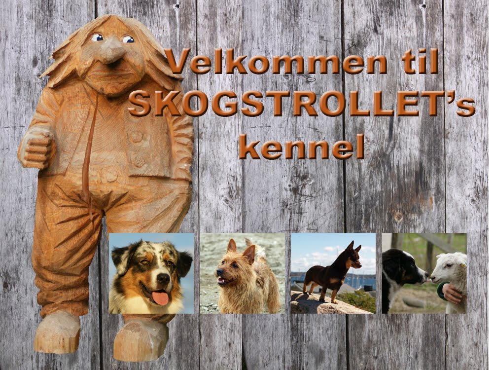 Skogstrollet kennel