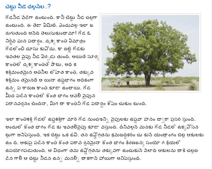 TELUGU WEB WORLD WHY TREES COOL