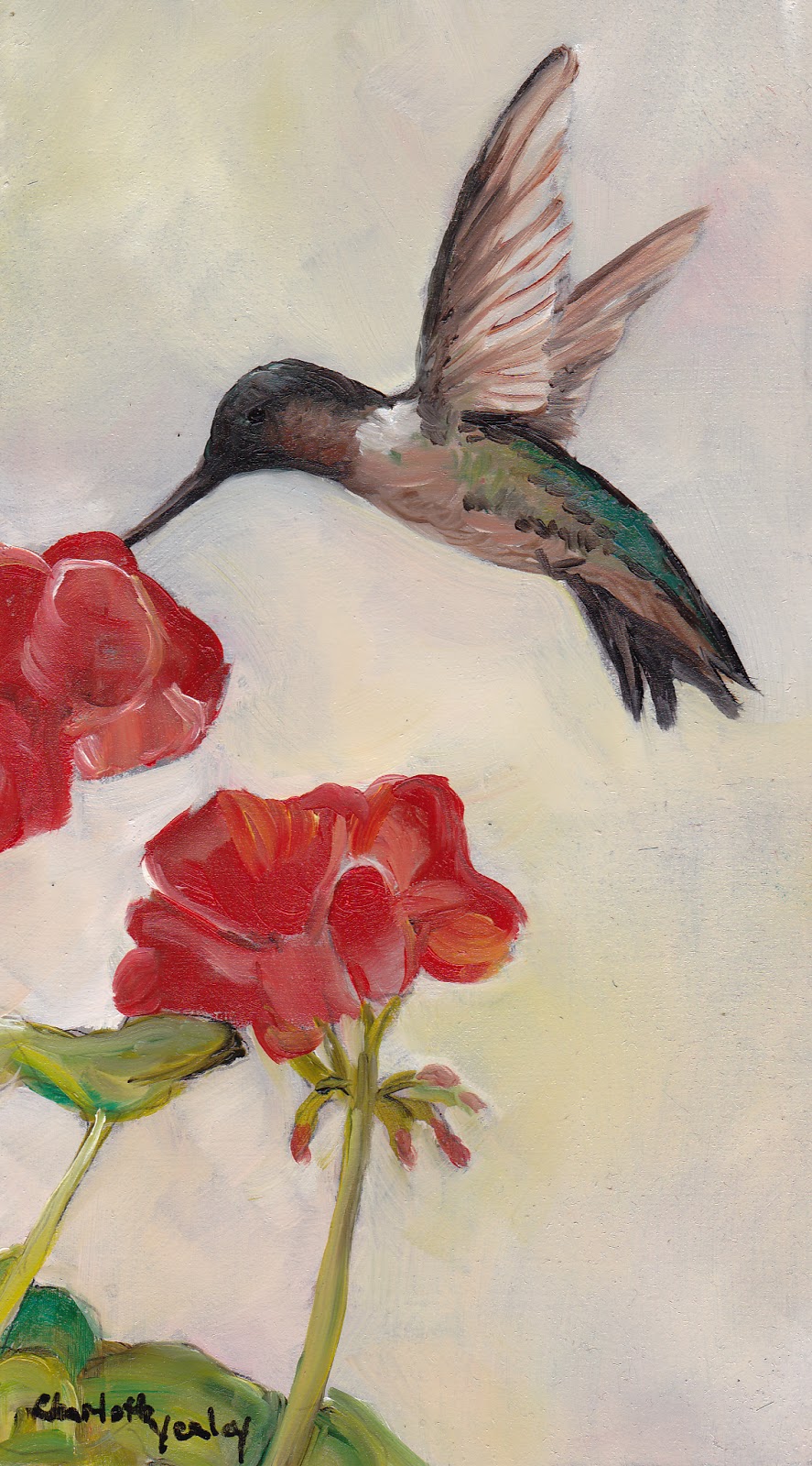 hummingbird painting geranium oil 7x4 yealey charlotte daily