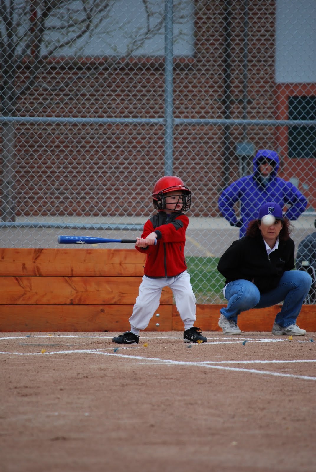 lucy's knits science projects and baseball