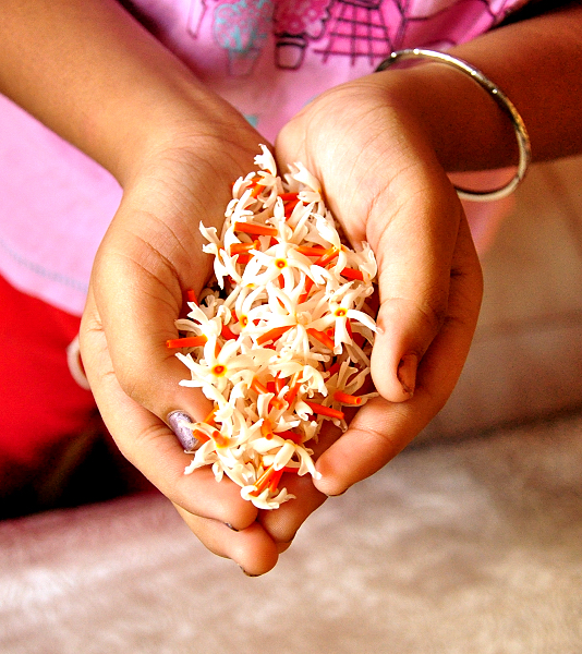 Five things to do in India in October Part 4 CULTURE CURRY