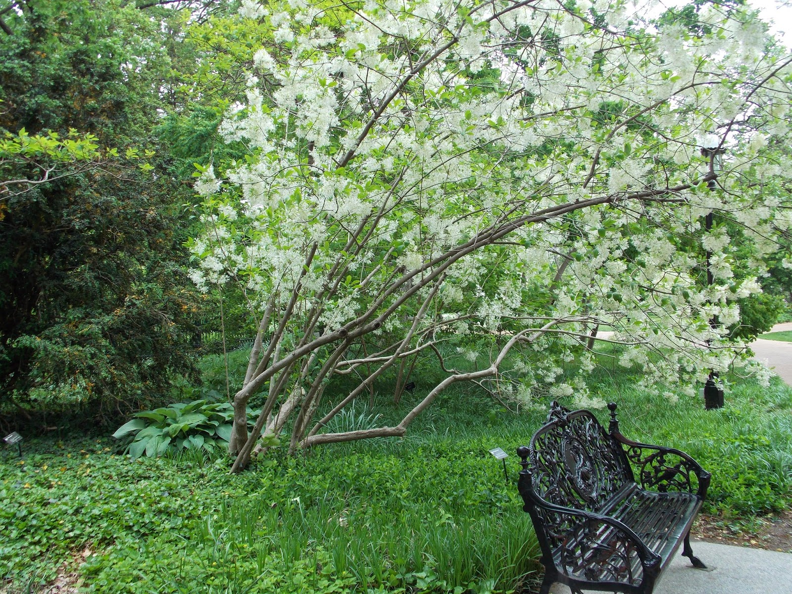 Intuitive Value 2015 Garden Tour Of Private And Project Gardens