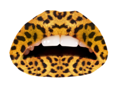 leopard medium