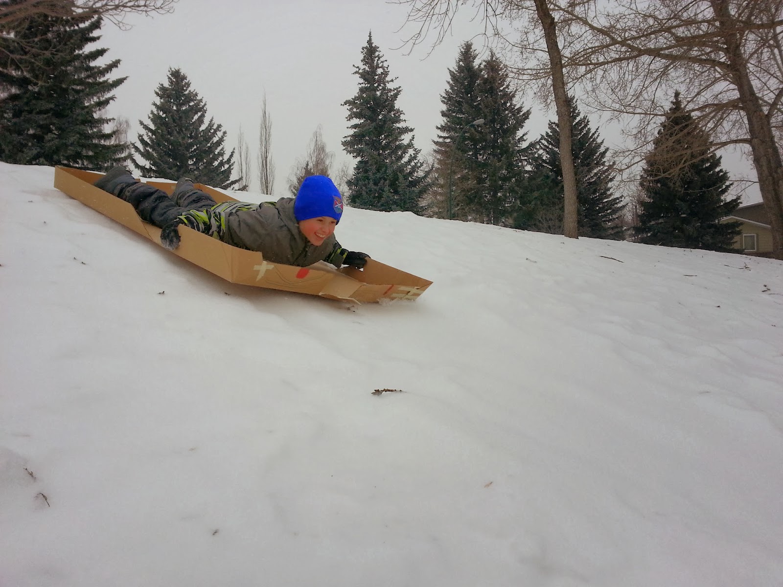 Big Grey Rocks Kids Hiking, Biking, Skiing, Snowshoeing and More in