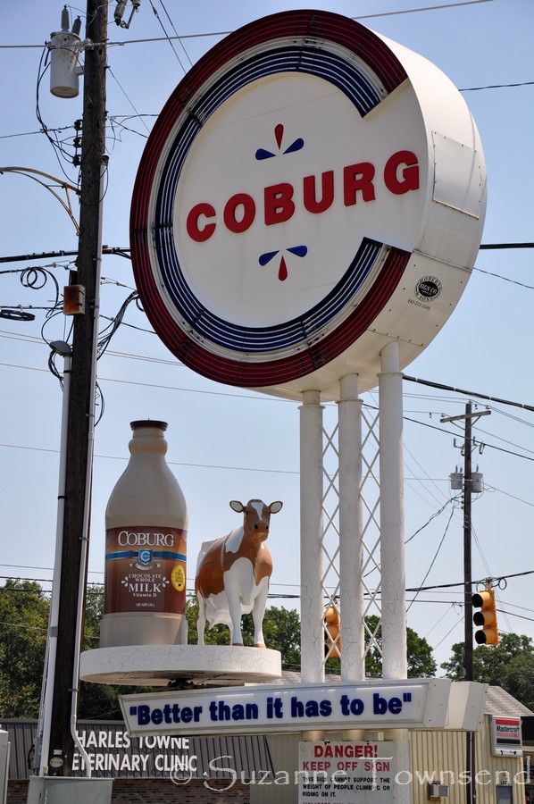 My View of Charleston and the Lowcountry The Coburg Cow