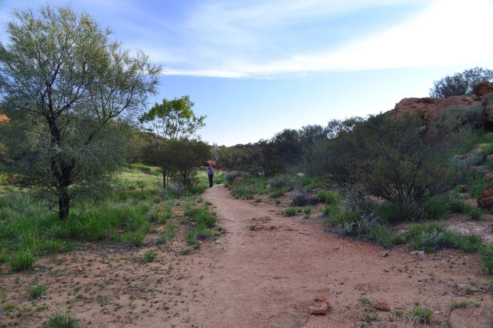 Goin' Feral One Day At A Time Bradshaw Walk, Alice Springs Telegraph
