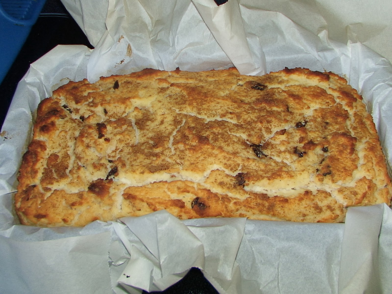 Healthy Life Lessons Cinnamon Raisin Protein Bread