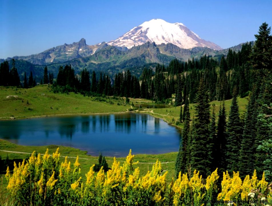 Alpine Scenic Mount Washington Washington lt Nature lt Life Alpine Scenic Mount Washington Washington lt Nature lt Life