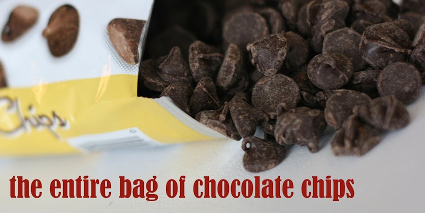 The Entire Bag of Chocolate Chips