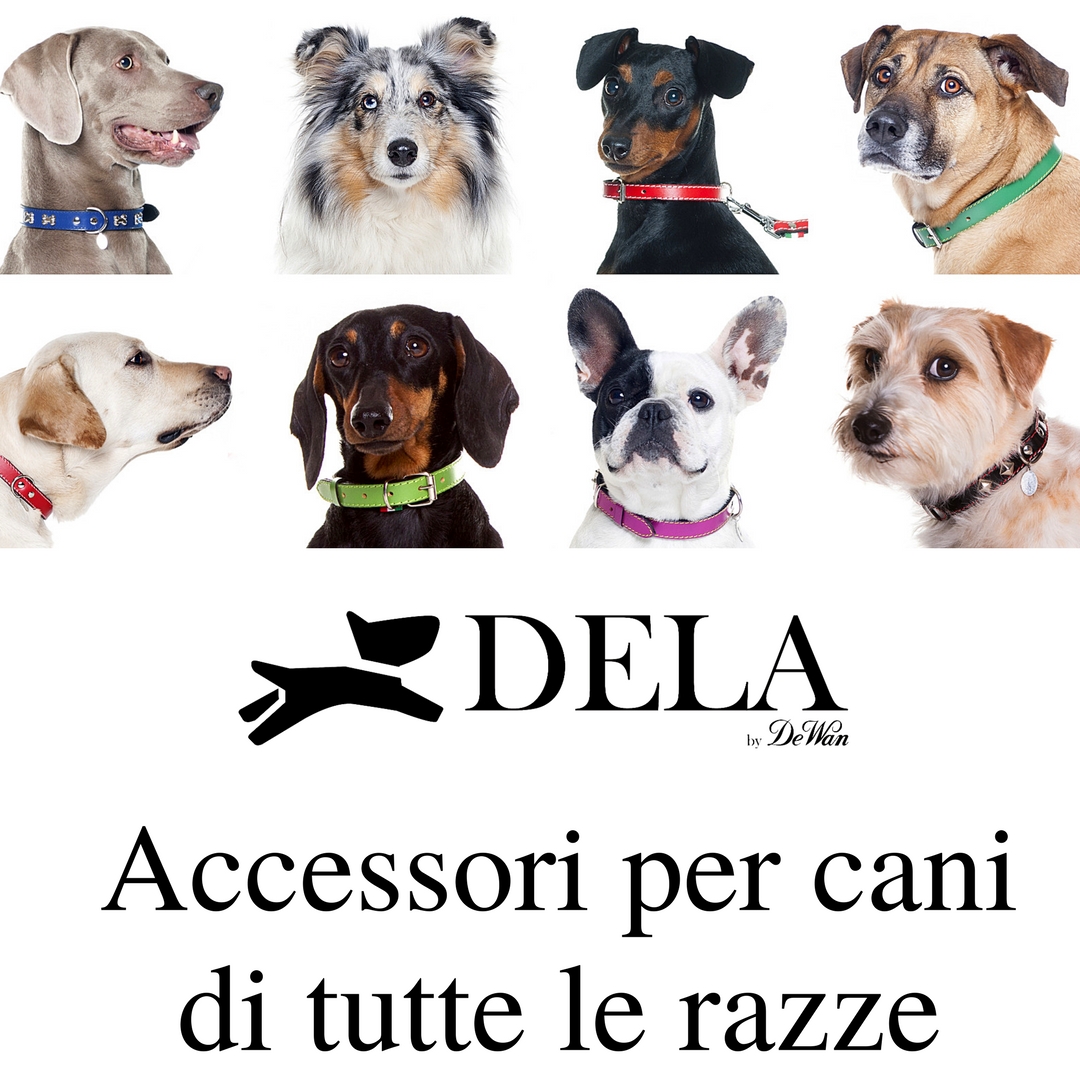 Delashop accessori di qualità!