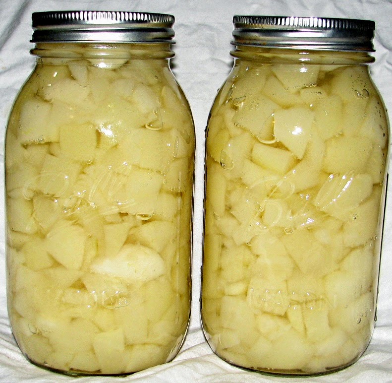 FOOD PRESERVING RAW PACK VS. HOT PACK