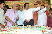 balakrishna Birthday Celebrations-thumbnail-11