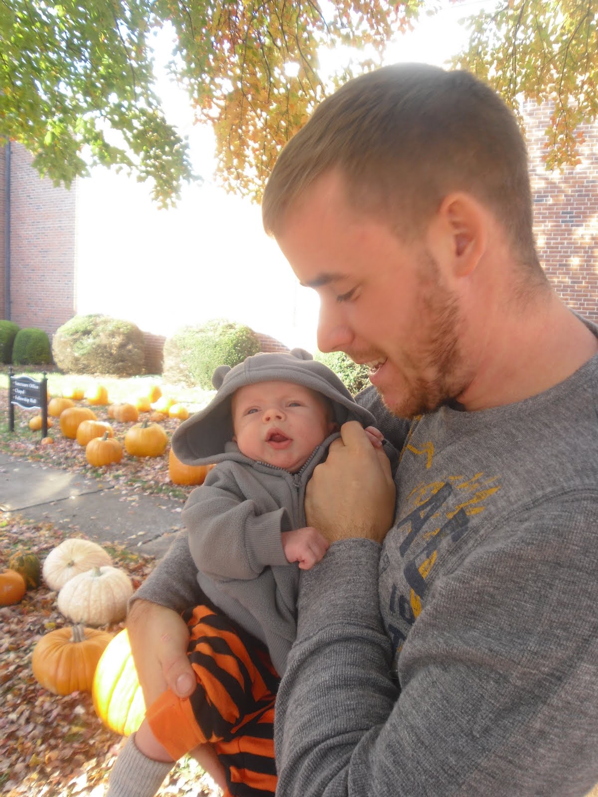 The Newfangled Housewife October 2011