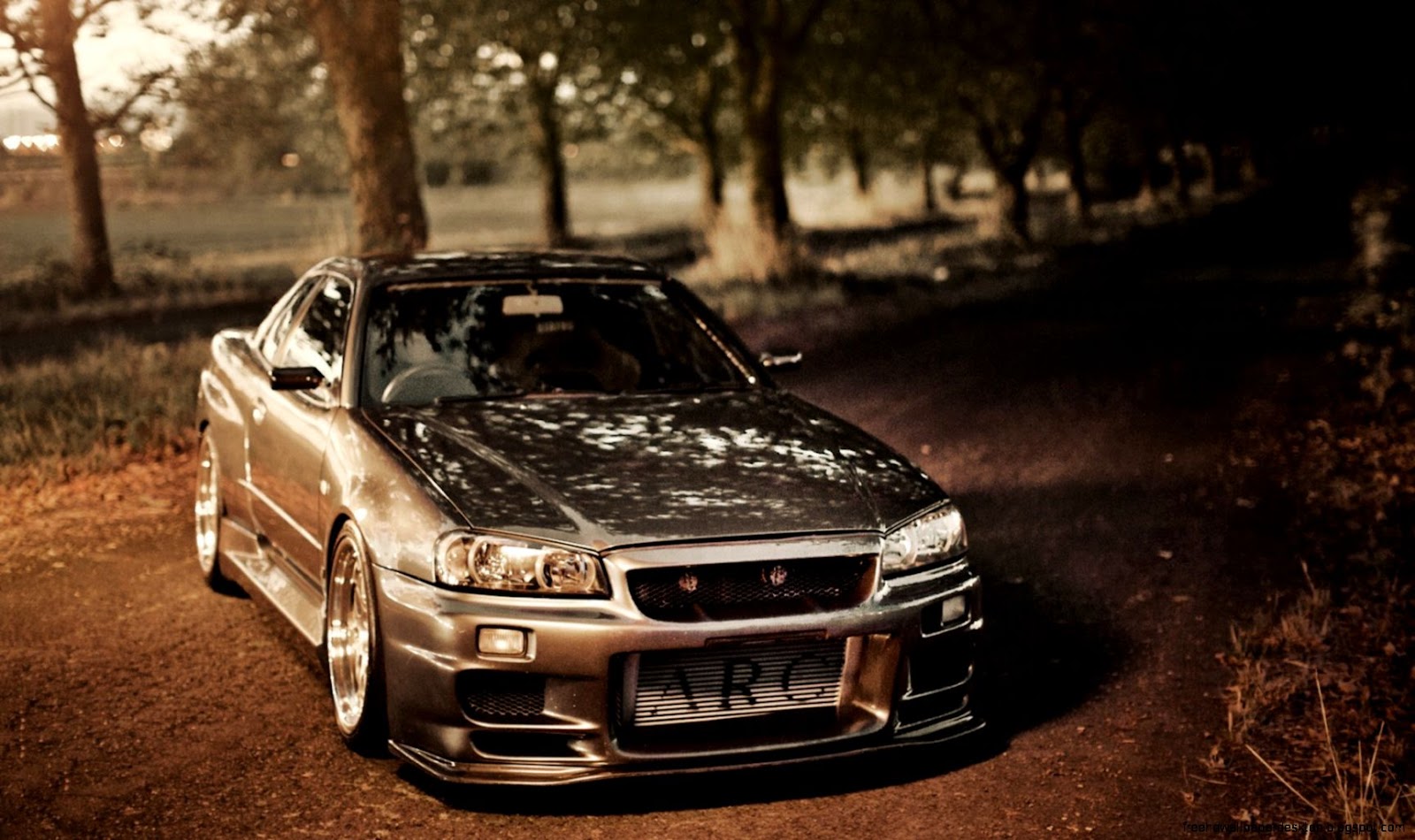 Nissan Skyline GTR R34 Nissan Skyline GTR R34