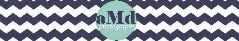 aMd photography