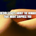 35 incredible facts about the human body that might surprise you