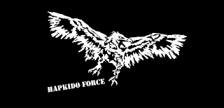 FreeStyle Hapkido Force