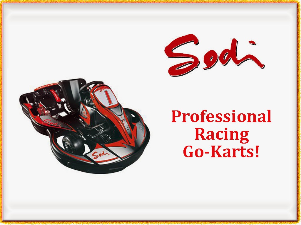 Sodi Professional Racing Go Carts in Pigeon Forge, TN