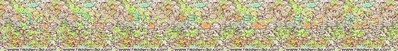 online stereogram reader online stereogram reader