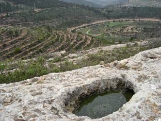 Battir-13297-332x249