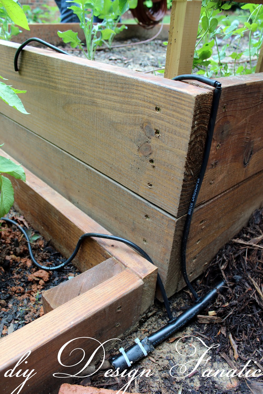 install a simple drip irrigation system, drip irrigation kit, backyard