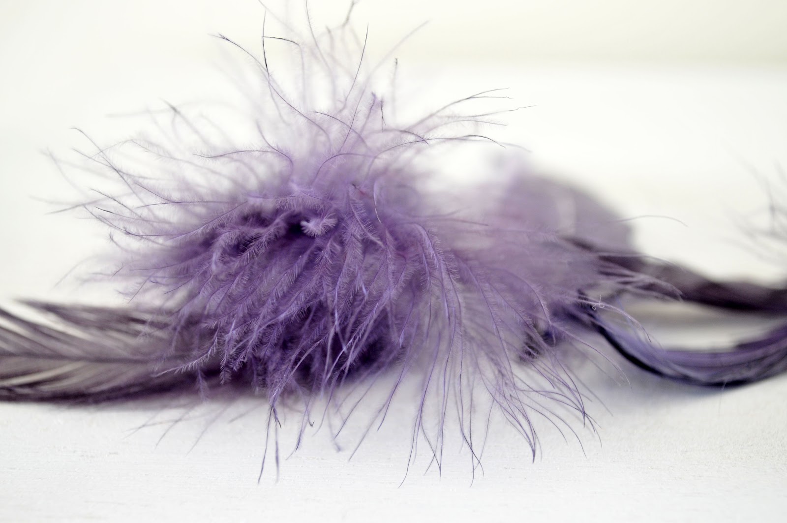 Grace Designs Dying Feathers RIT dye