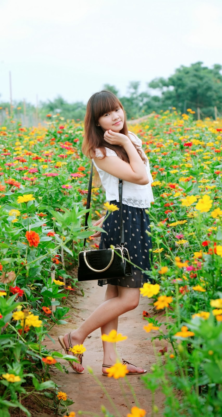 Ngày hè xinh tươi