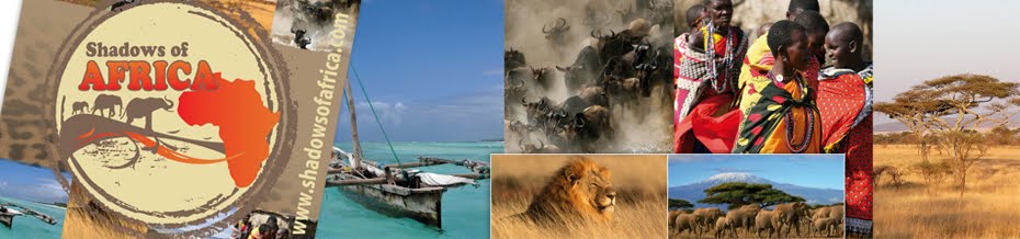 Safari Travel Blog by Shadows Of Africa