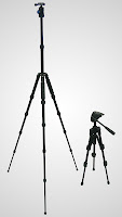 Tripods both extended to full height.